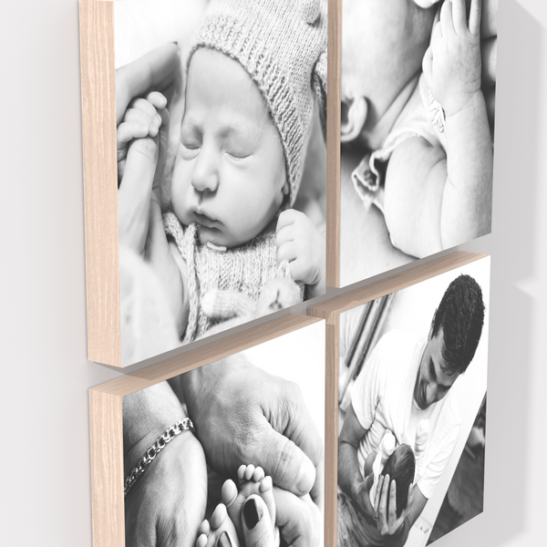 Gaia set of 4 - Large